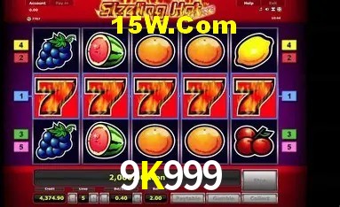 Sistemas de Segurança 9K999